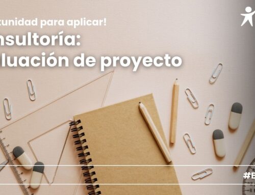 Consultoría: evaluación final de proyecto