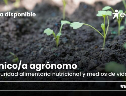 Plaza vacante: técnico/a agrónomo en seguridad alimentaria nutricional y medios de vida